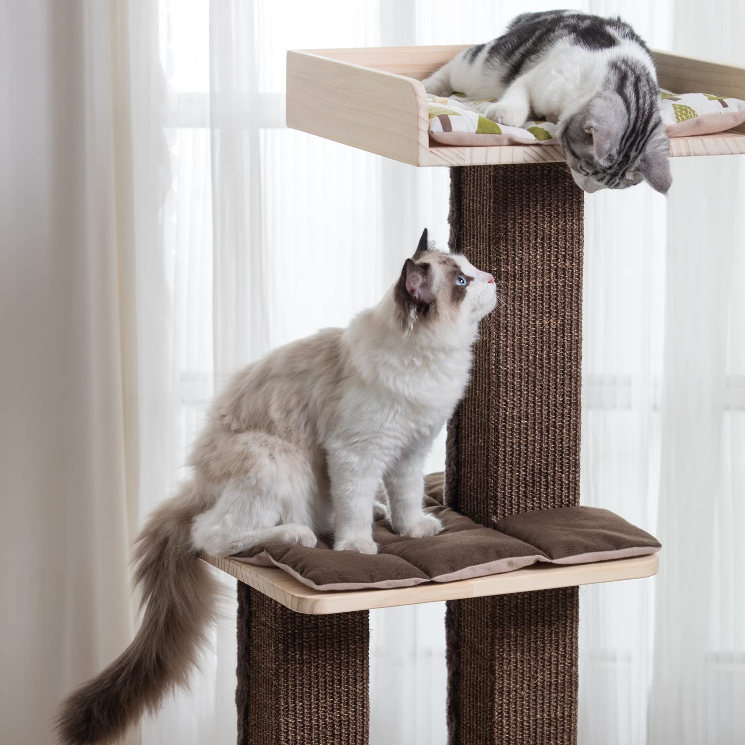 Pawlabay Multi-Level Cat Tree,Wood Cat Tower with Cat Scratching